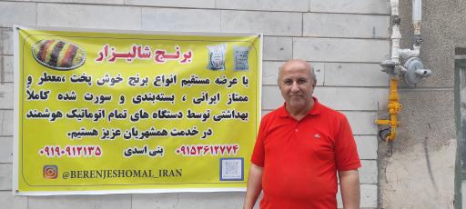 عکس برنج شالیزار