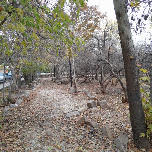 عکس بوستان باغ سیب زار