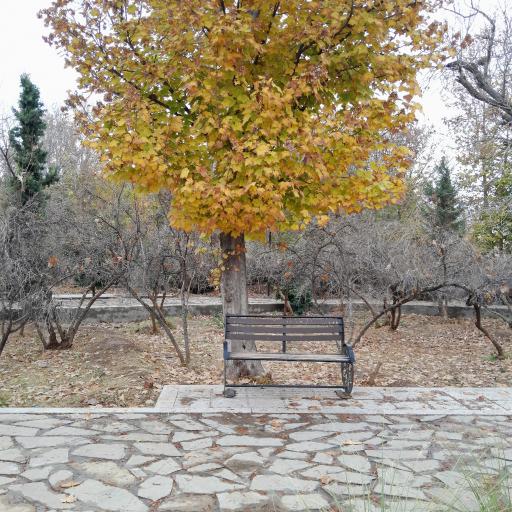 عکس بوستان باغ سیب زار