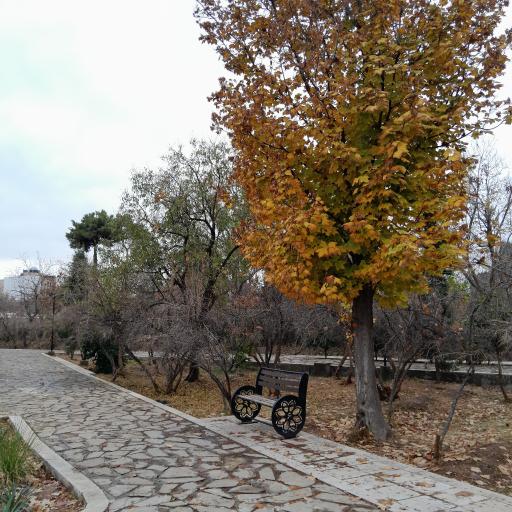 عکس بوستان باغ سیب زار