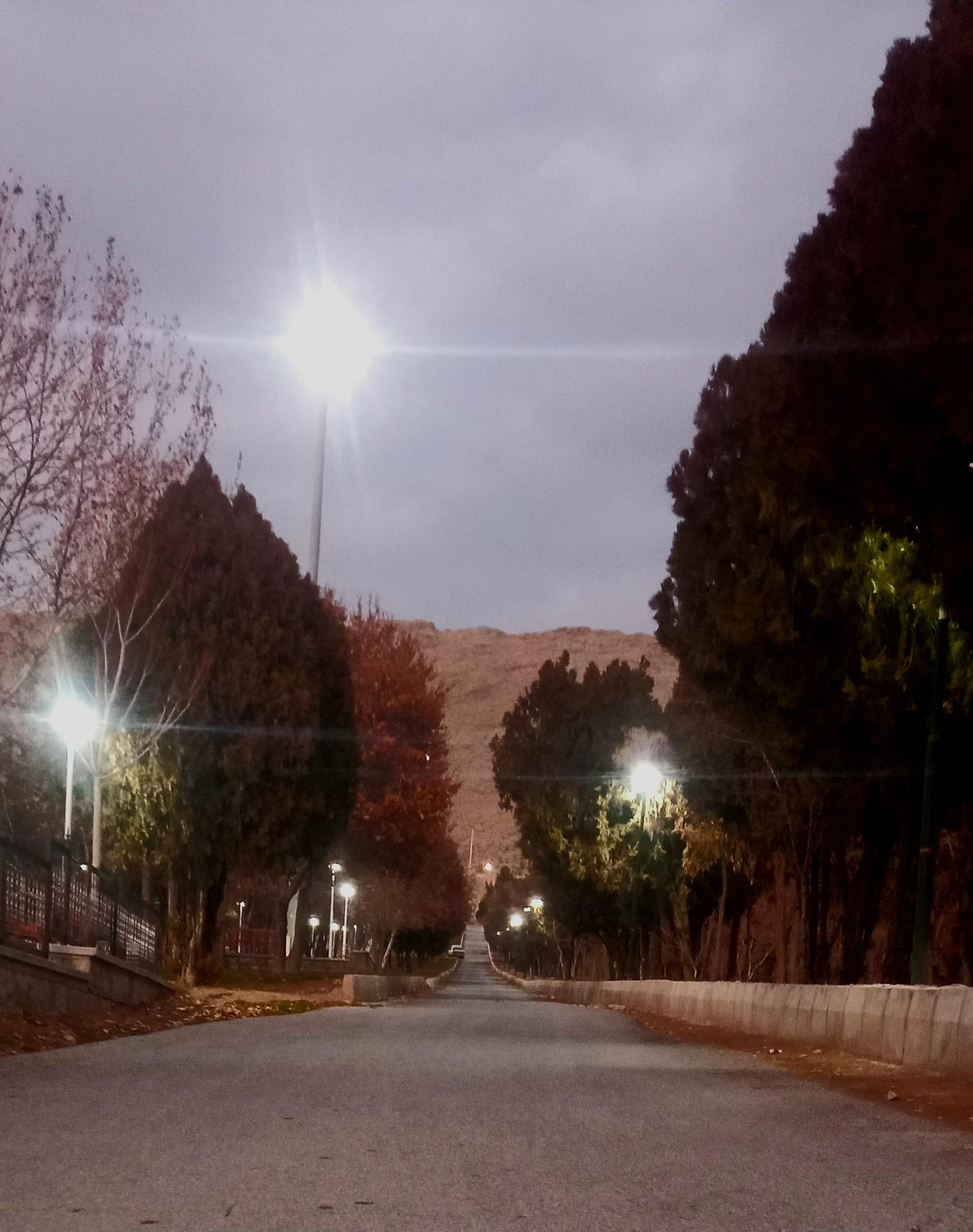 عکس پارک جنگلی تهلیجان - تله گون