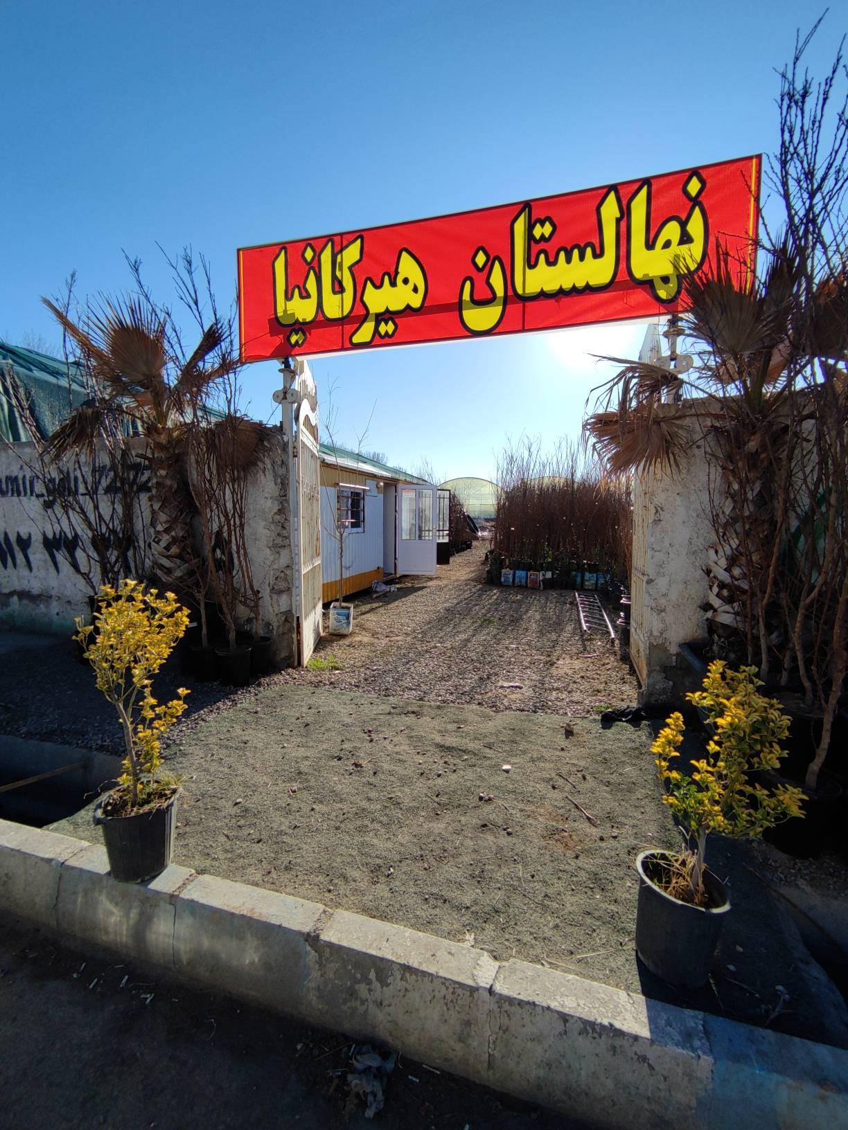 عکس نهالستان هیرکانا