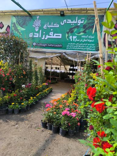 عکس تولیدی گلباغ معین صفرزاده