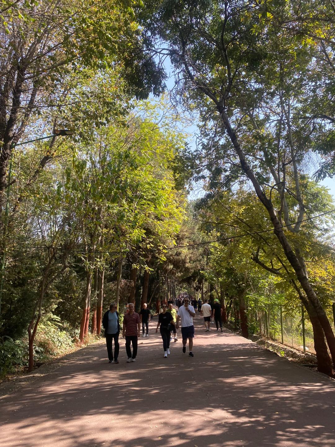 عکس پیاده روی