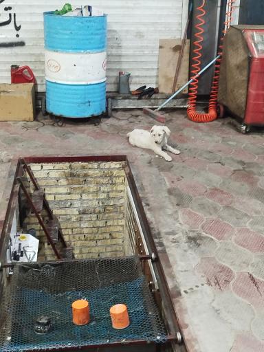 عکس شهر روغن المهدی