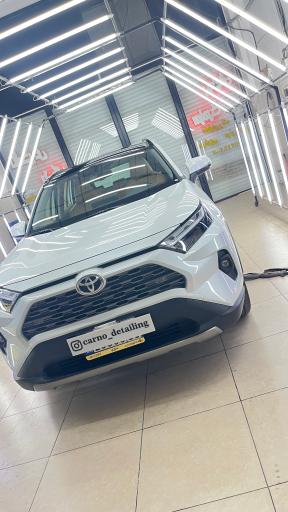 تشخیص رنگ کارنو اهر