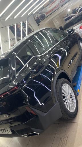 عکس تشخیص رنگ کارنو اهر