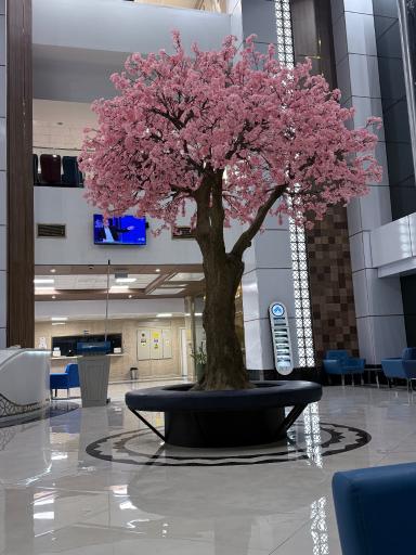 عکس بیمارستان فوق تخصصی عدل