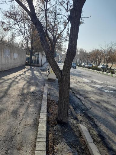 عکس  ملاصدرا 22