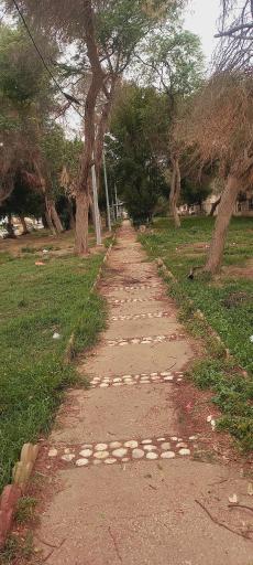 عکس اداره کار منطقه آزاد اروند