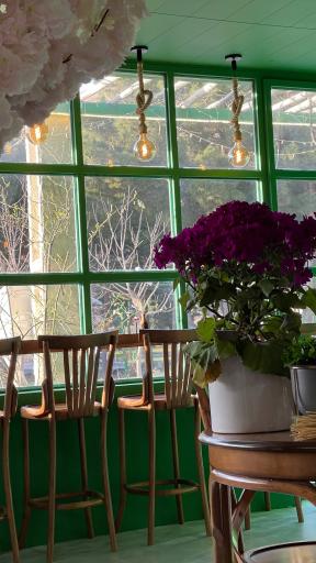 عکس کافه رزلند