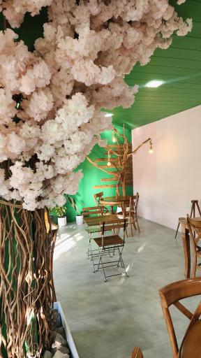 عکس کافه رزلند