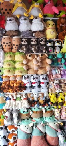 عکس پخش عروسک آرتا تویز