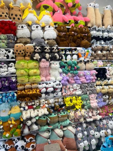 پخش عروسک آرتا تویز