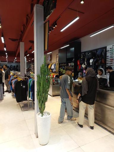 عکس جغد بوتیک