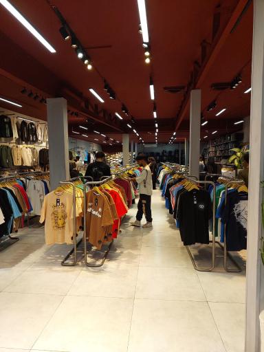 عکس جغد بوتیک