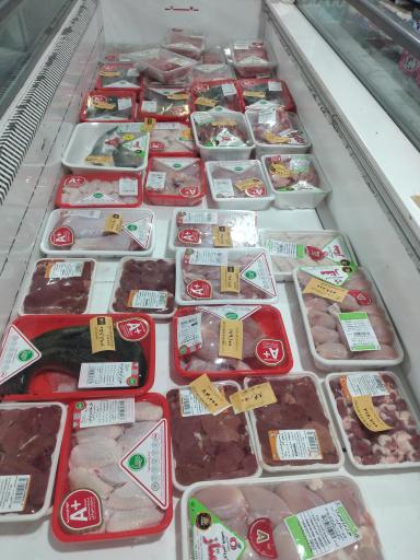 افق کوروش (محمدیان)