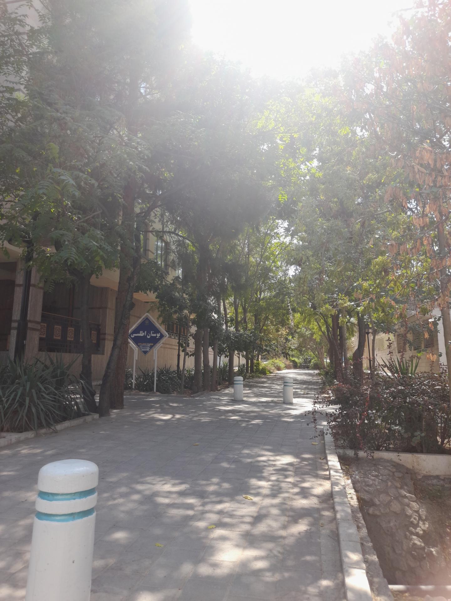 عکس بوستان اطلسی 