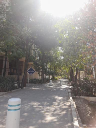 عکس بوستان اطلسی 