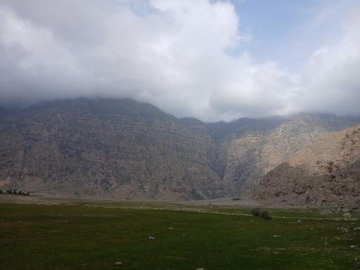 عکس سنگ نگاره خنگ اژدر