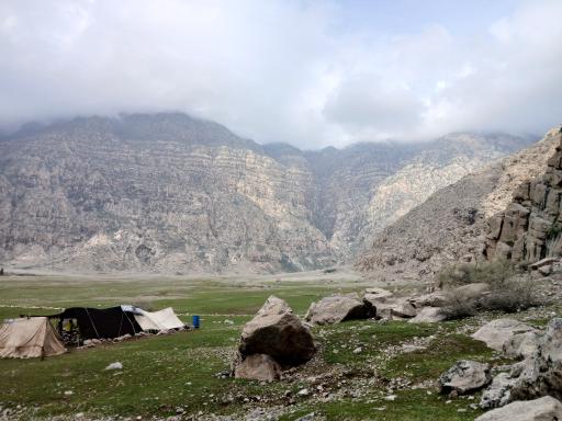 عکس سنگ نگاره خنگ اژدر