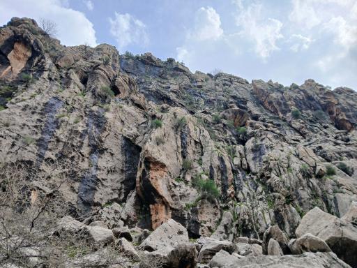 عکس سنگ نگاره خنگ اژدر