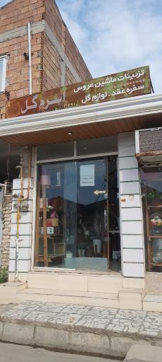 عکس اسرم گل