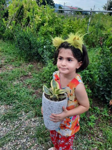 عکس گوگن گلخانه نصیری