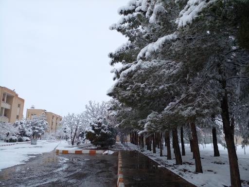 عکس خوابگاه های دختران