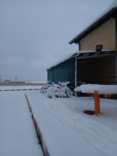 عکس خوابگاه های دختران