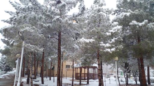 عکس خوابگاه های دختران