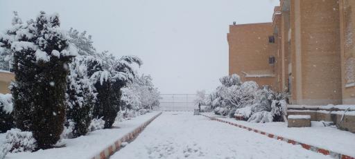 خوابگاه های دختران