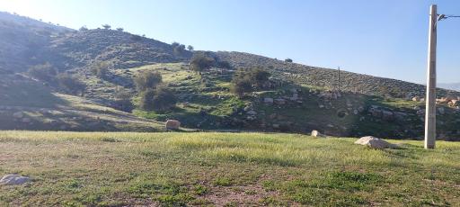 عکس چشمه سرآب اردشیر