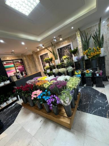 عکس گل فروشی موگه