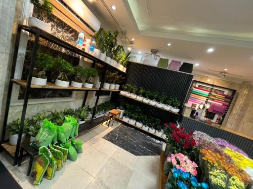 عکس گل فروشی موگه