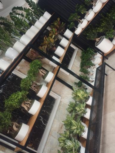 عکس گل فروشی موگه