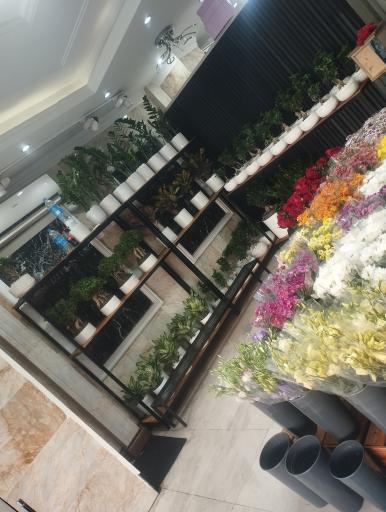 عکس گل فروشی موگه