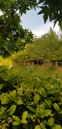 باغ کتاب تهران