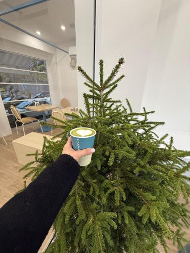 عکس نووِ کافه