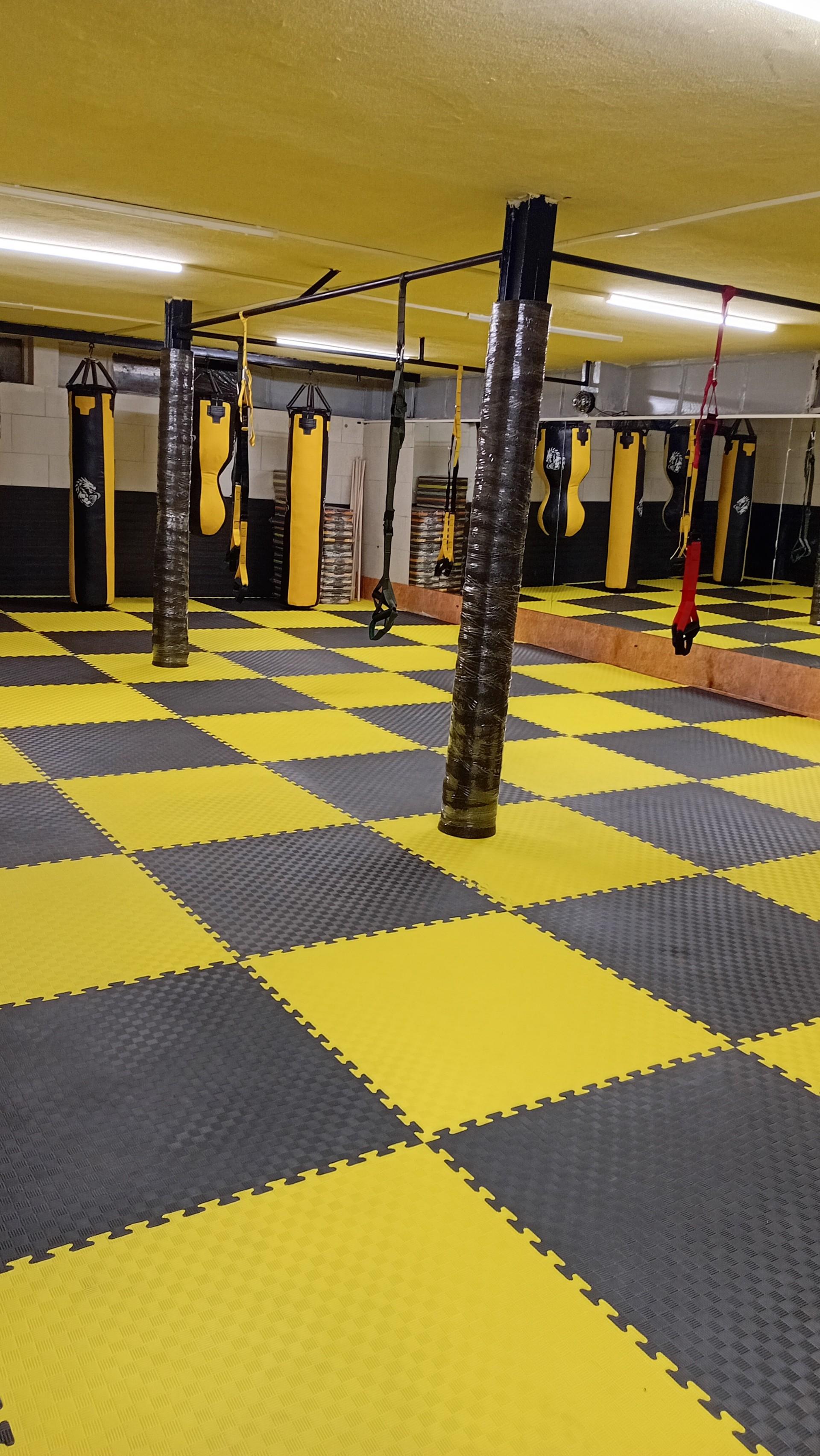 عکس باشگاه دراگون