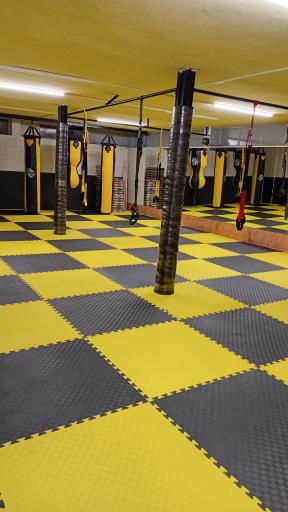 عکس باشگاه دراگون