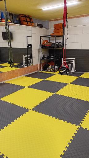 عکس باشگاه دراگون