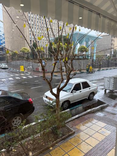 عکس نووِ کافه