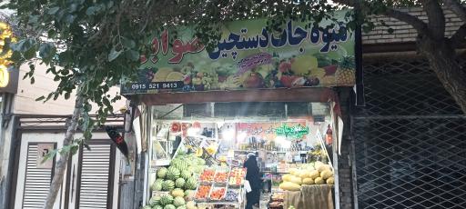 عکس میوه دستچین صوابی