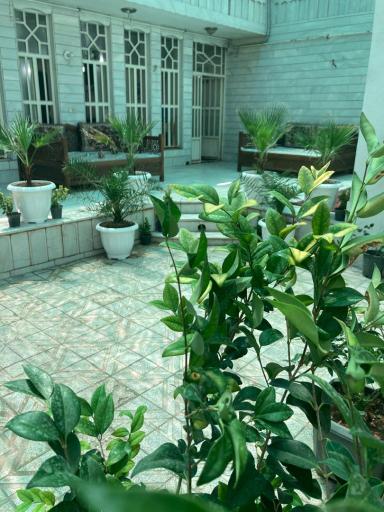 کافه صبحانه شیبانی