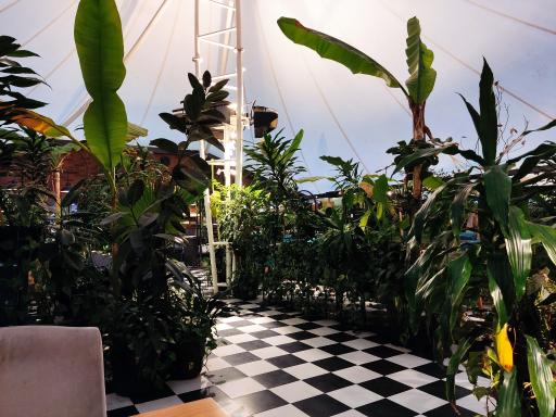 عکس رستوران دوک