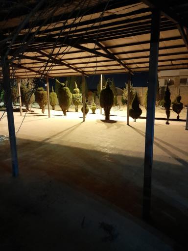 عکس گلستان حضرت زهرا (س)