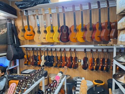 عکس فروشگاه و گالری موسیقی استاد بنان