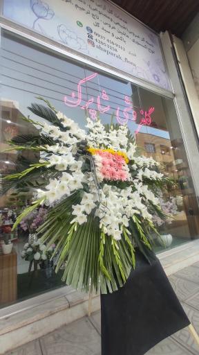 عکس گلفروشی شاپرک