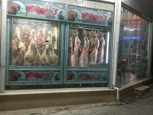 عکس پروتئینی نجفیان 